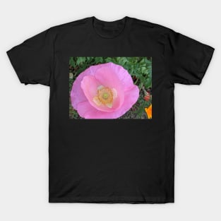 Pink poppy T-Shirt